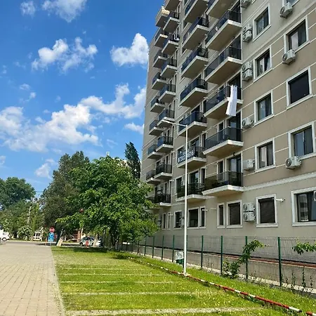 Luca Solid Mamaia